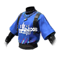 Fashionist