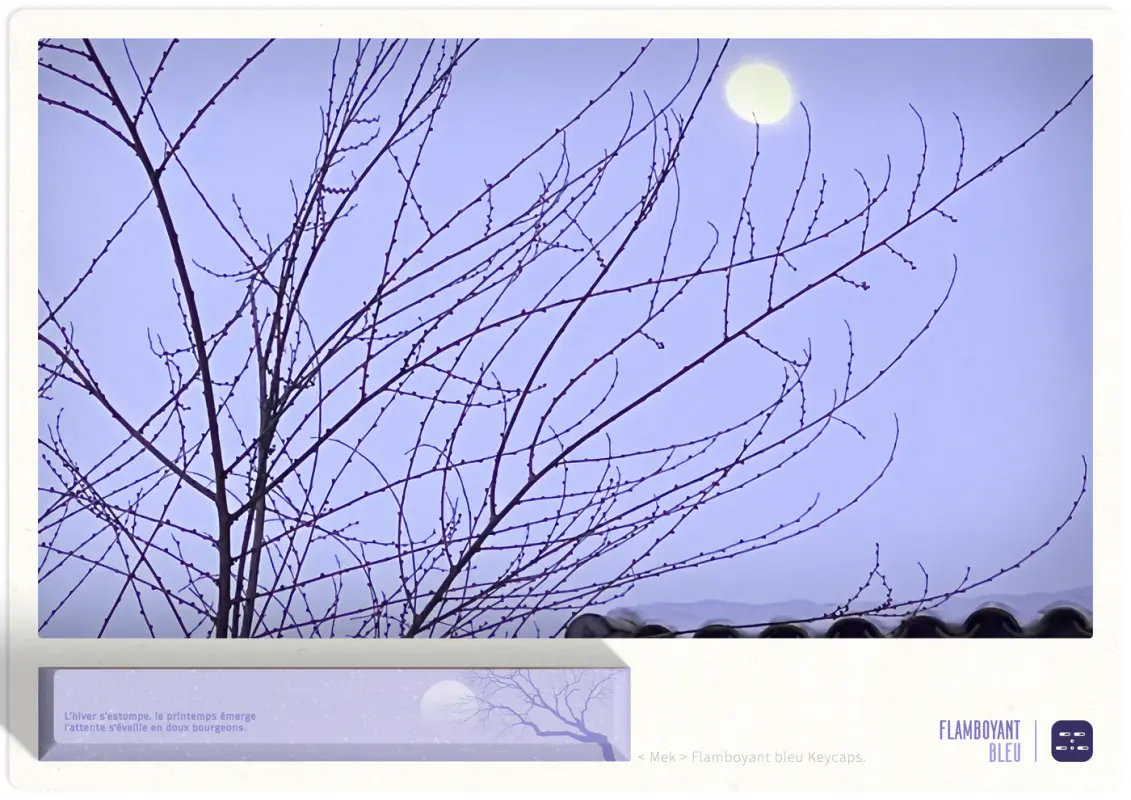 lniQ7Ek4jhQjgVpM2KJ0K6QW_9rh.png-large1400