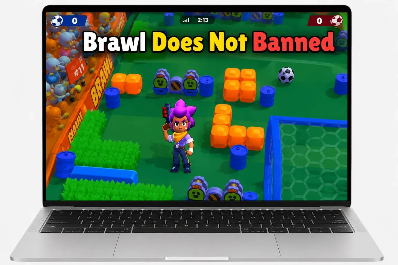 BSD Brawl For PC 5 Why BSD Brawl Does Not Get You Banned