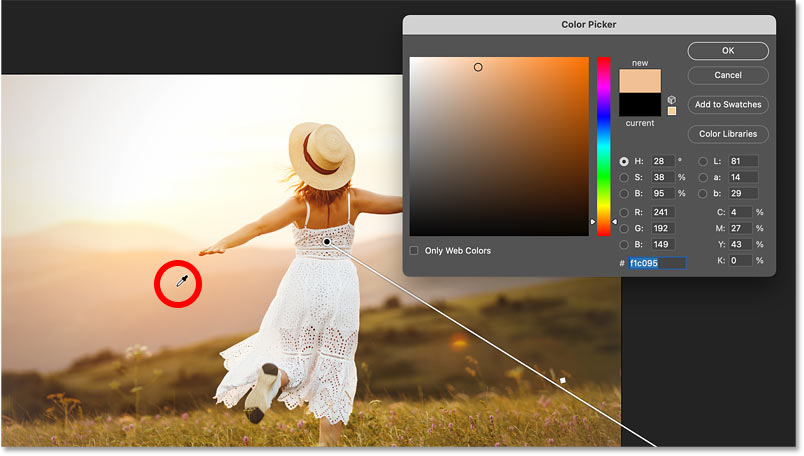 sample-new-vignette-color
