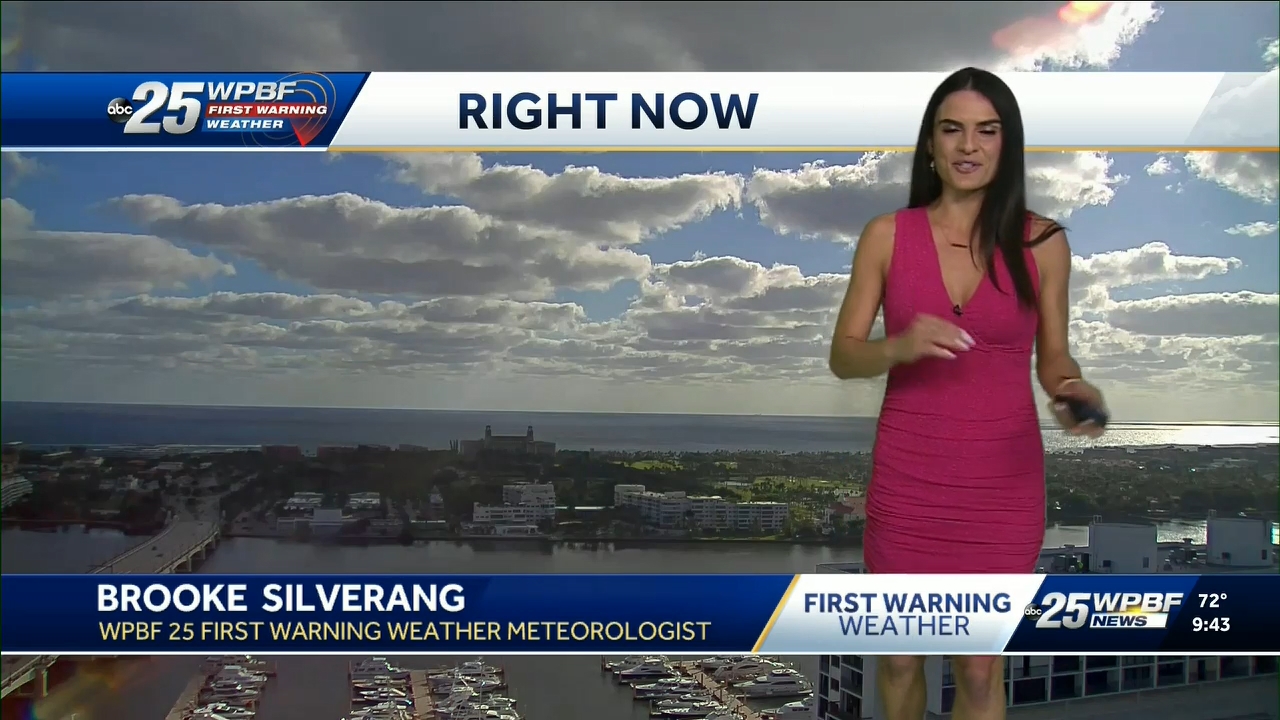12.23 - 14.00.00 - WPBF 25 News at 9 00 AM..ts_snapshot_00.51.35.708