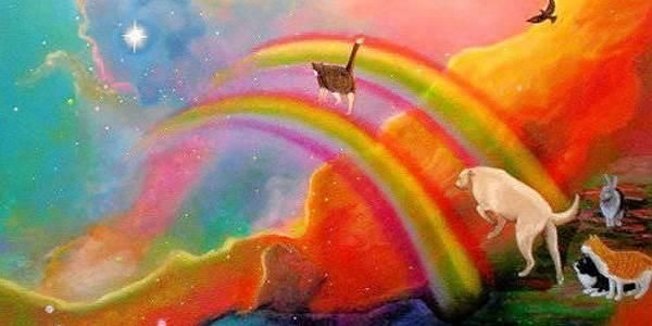 [Image: D-c-s-arc-en-ciel-2.jpg]