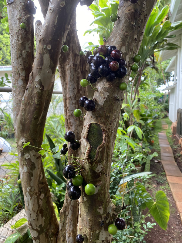 FE9D7C6F-95DB-49AF-8067-06CF3F709171