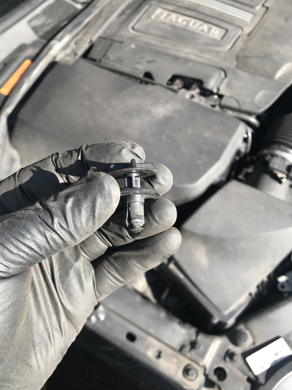 EEE761FE-7094-43FC-A9CB-008B549429B7