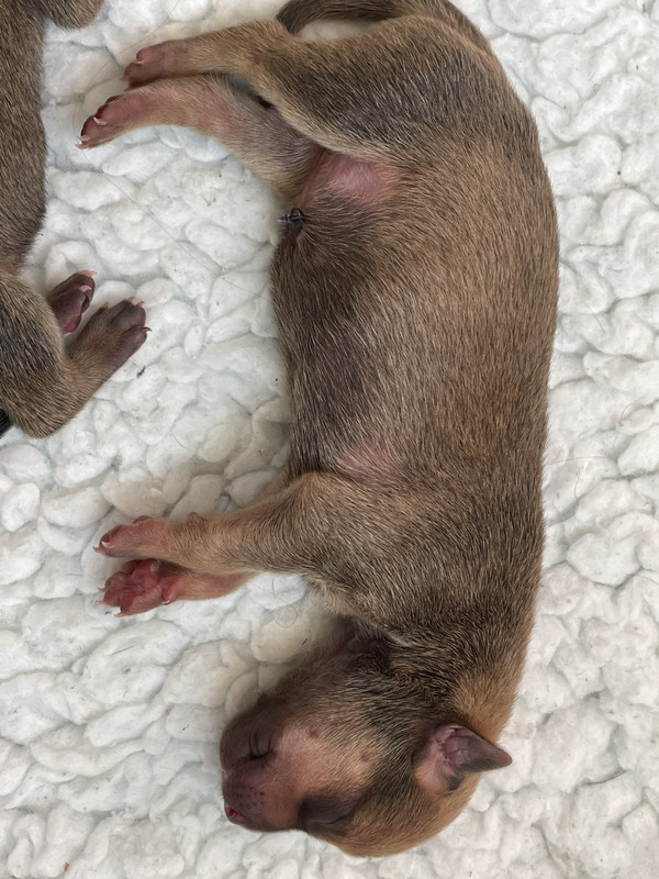 8C49949C-C36D-4801-A4D7-36397CFC8E5E