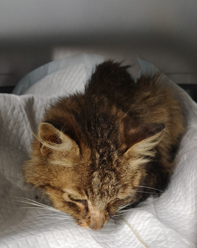 2AAD1FAE-4240-48E6-A885-78D6161D94B4