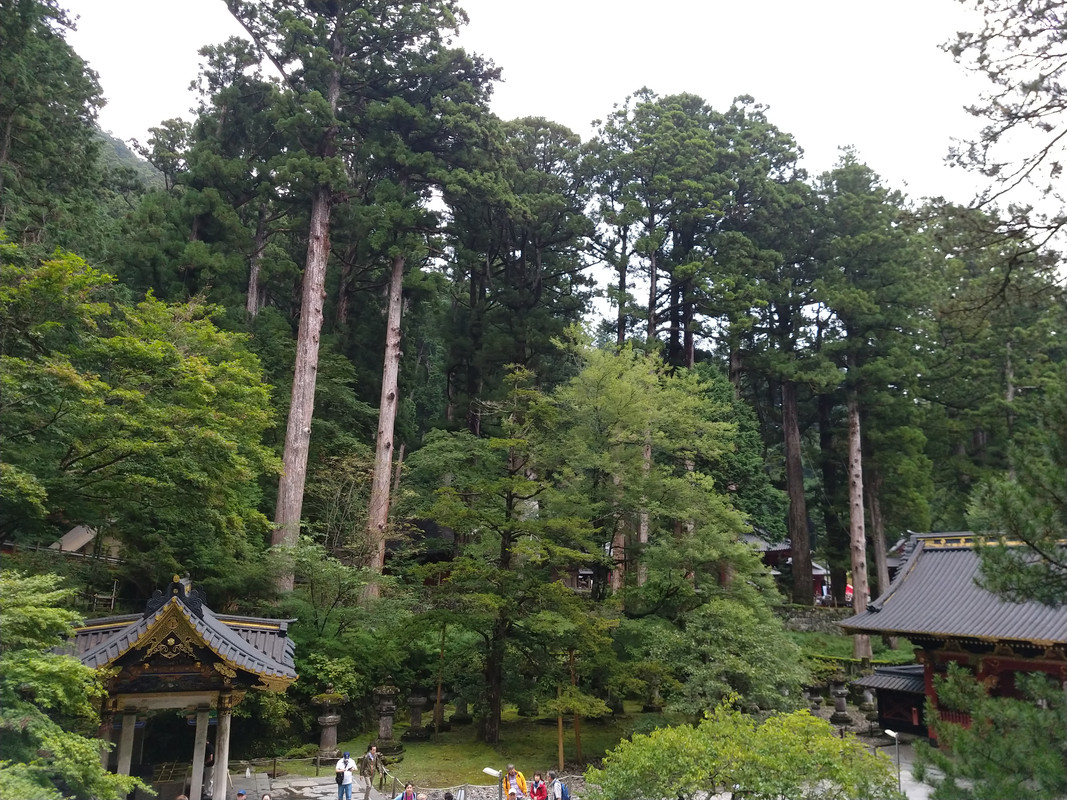 DOMINGO 2 - Nikko - JAPON. UNA GRAN AVENTURA , SIN ENAMORAMIENTO FINAL (6)