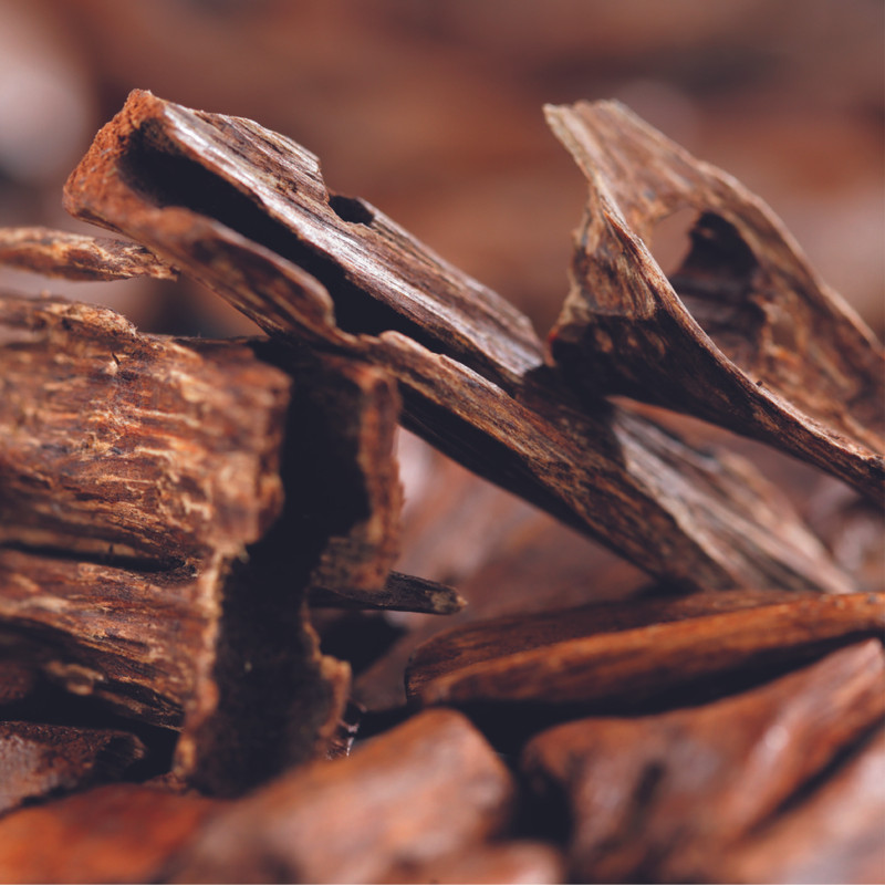 Oud - Ingrédients Cosmétiques Naturels du Maroc