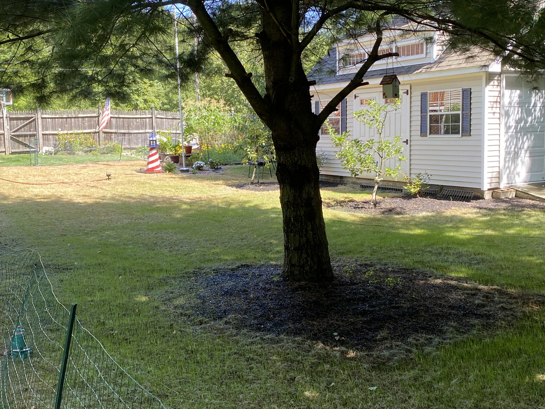 82216EA2-22E5-44ED-B4D0-A3C603F52073