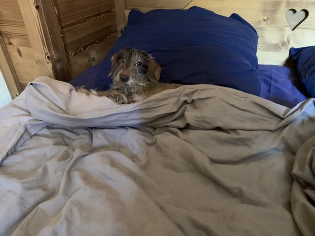 [Image: 81861428-DC2-C-4-DEC-8-FB4-D76865-FD6-B7-B.jpg]