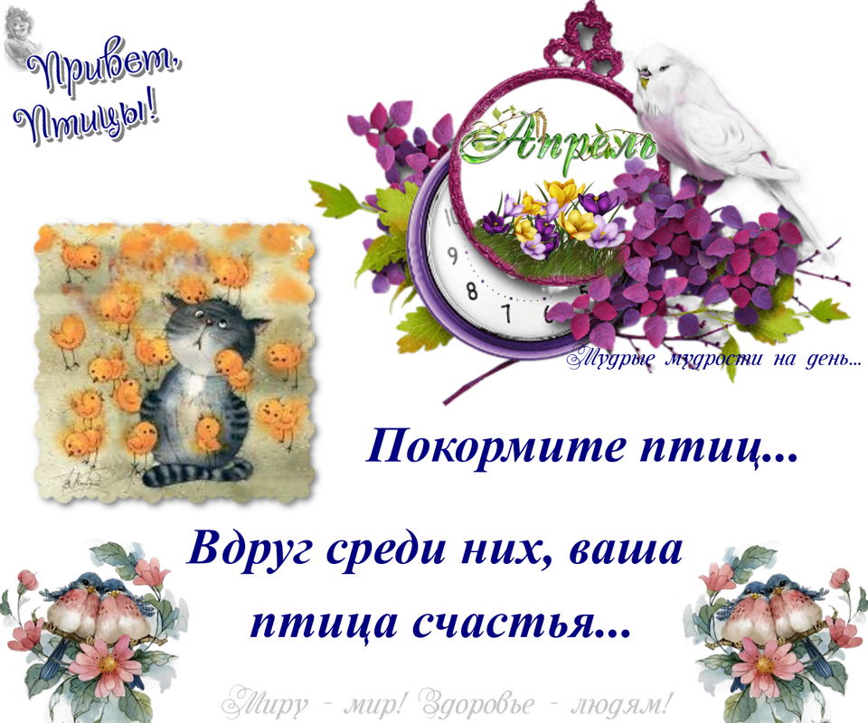 https://i.postimg.cc/Gtg4kKr3/21-04.png