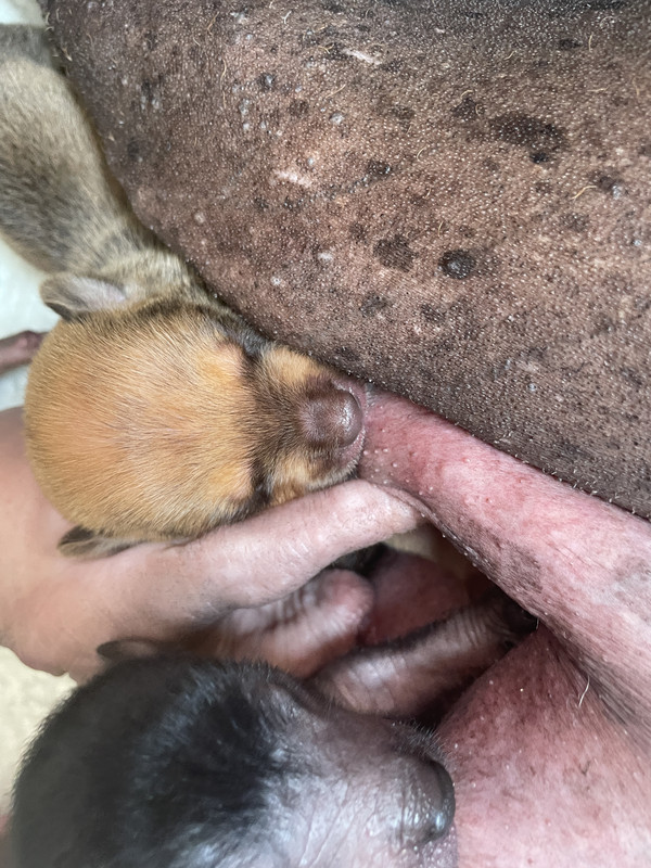 EBECF715-B2C0-4B6A-9FCA-06DD69C1CEF3