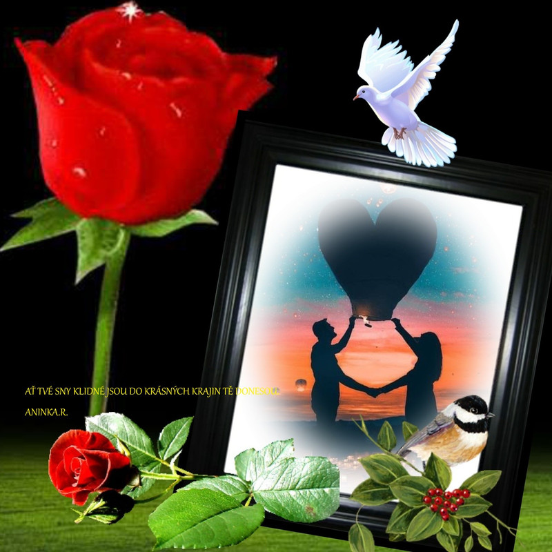 imikimi zo photo (26)