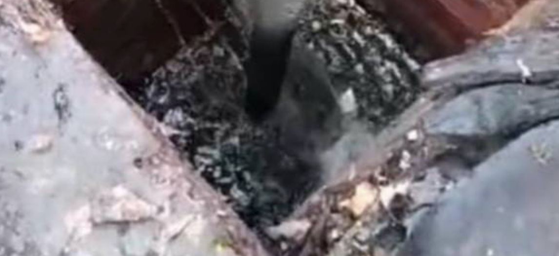 IMG_20240420_091030_161