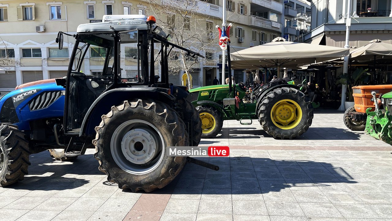 agrotes-IMG-9610