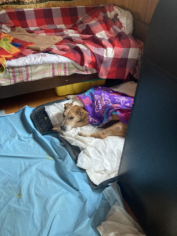 9B5146AE-B6E0-4380-90D2-2590CACF1E21