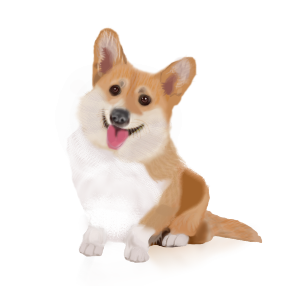 Corgi.png