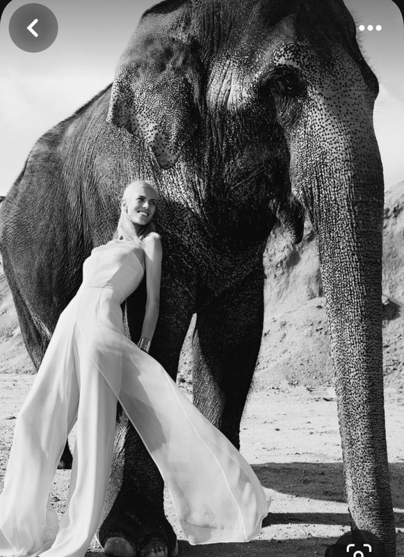 Screenshot_20240117_230236_Pinterest