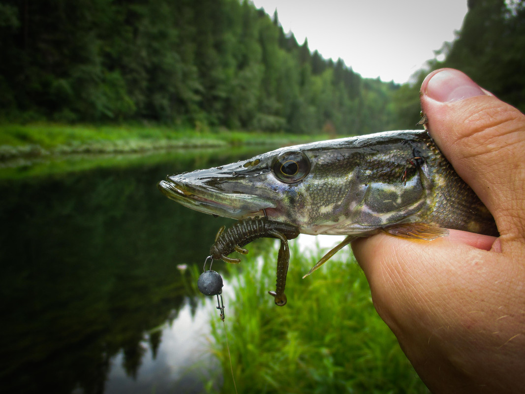 без имени-39