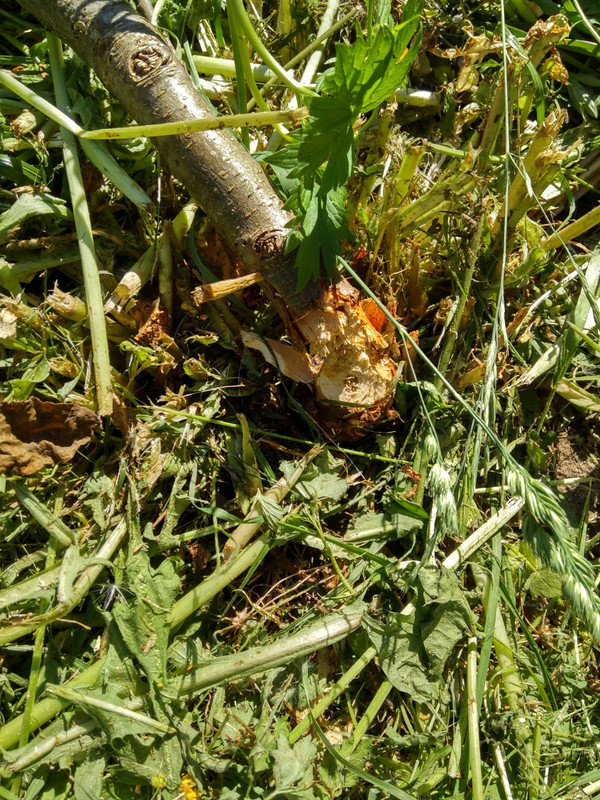 WhatsApp Image 2022-06-12 at 10.03.39 (1)