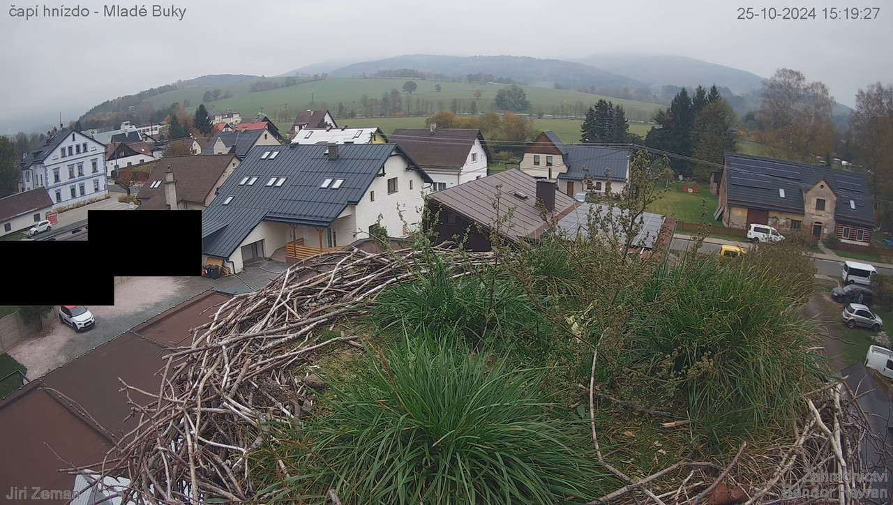 Živá kamera - Mladé Buky - čapí hnízdo 13-0-22 screenshot