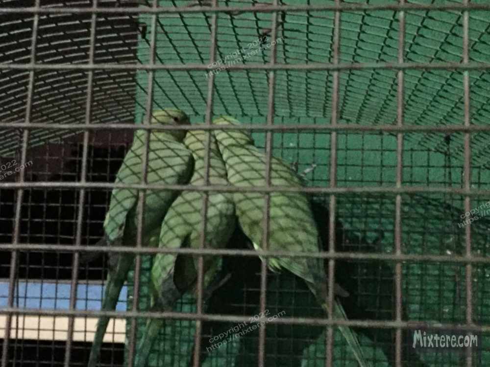 BBG&B6AroundTheGuesthousePics - 13