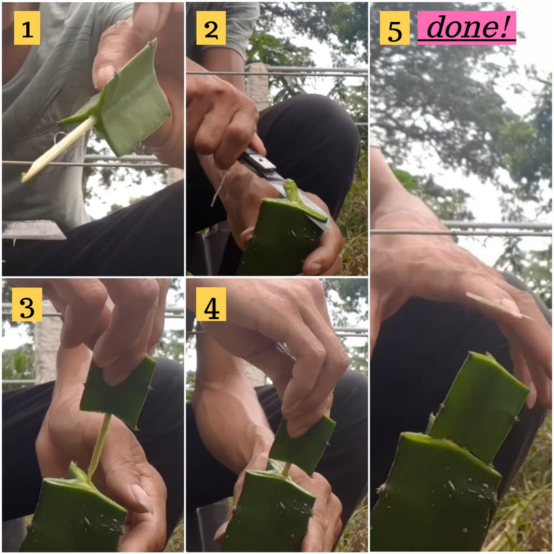 near-bone-grafting-style.jpg