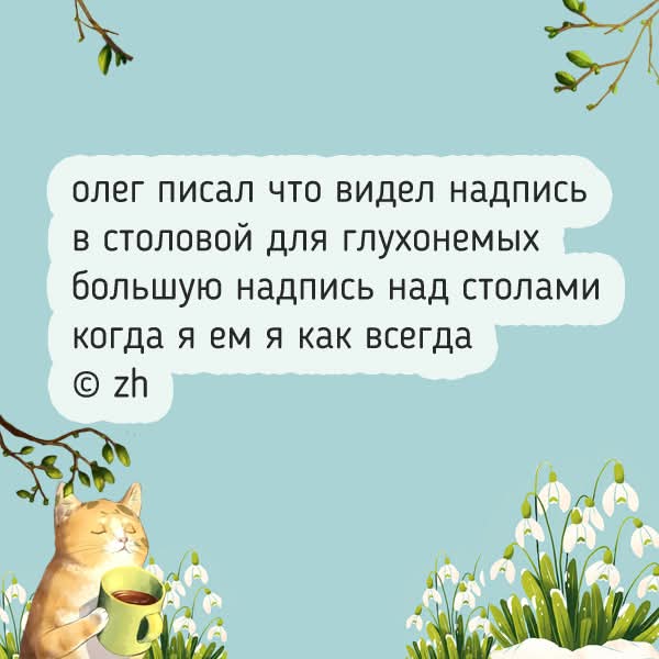 FB IMG 1777367416843