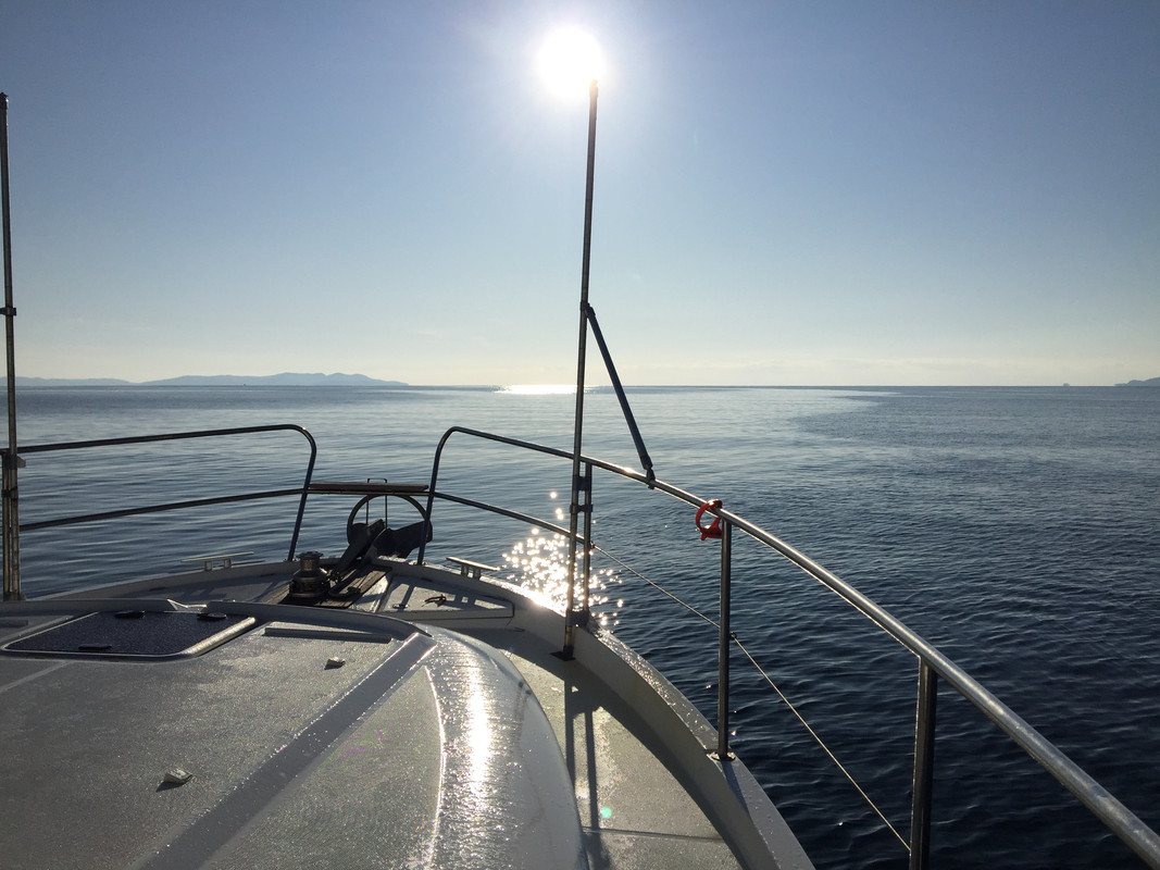 DEDB6338-4909-4C91-9D8A-1C6C3A21C7EA