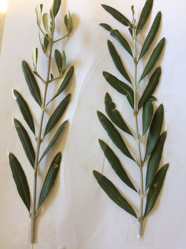 BC0BD27E-8A60-45B5-9A2E-C440F86EE6CC