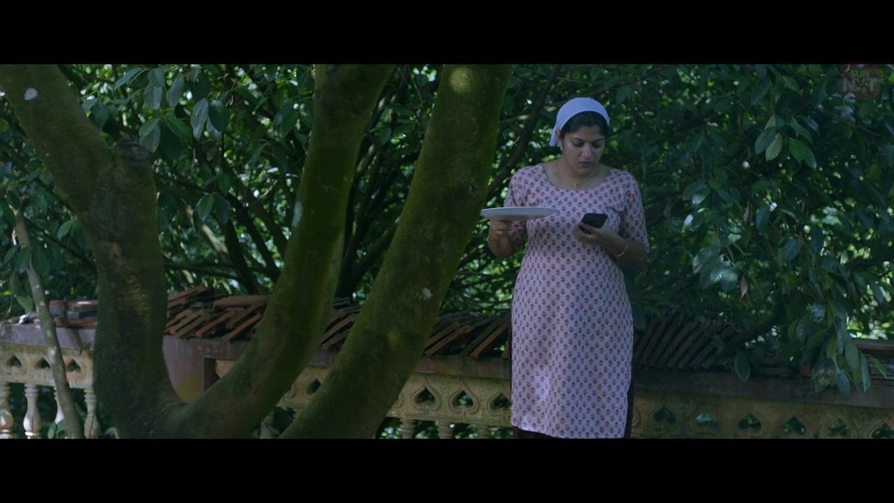 vlcsnap 2026 02 11 15h44m18s368