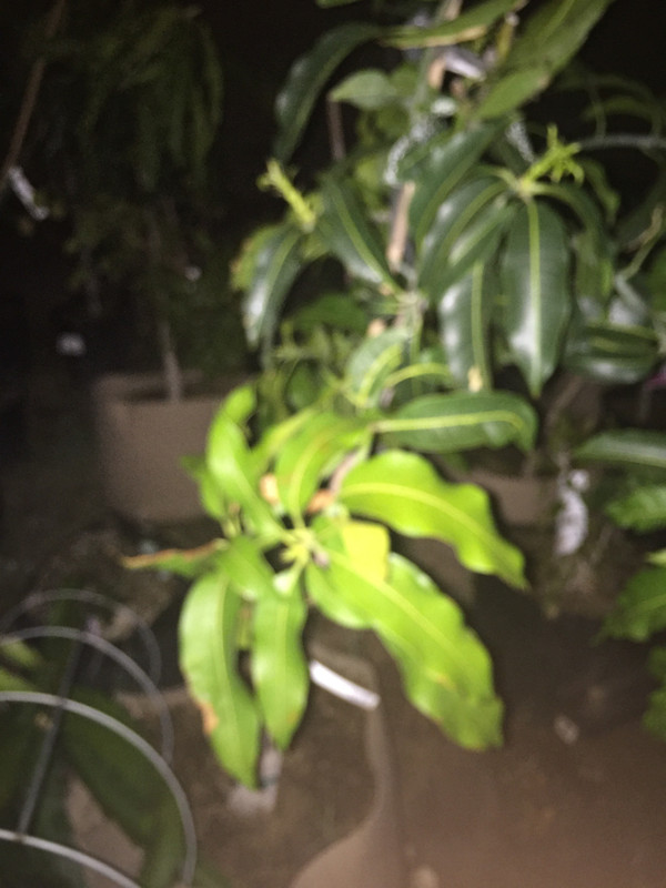 B4C5200B-4654-45E2-B714-08ACB5F05E8F