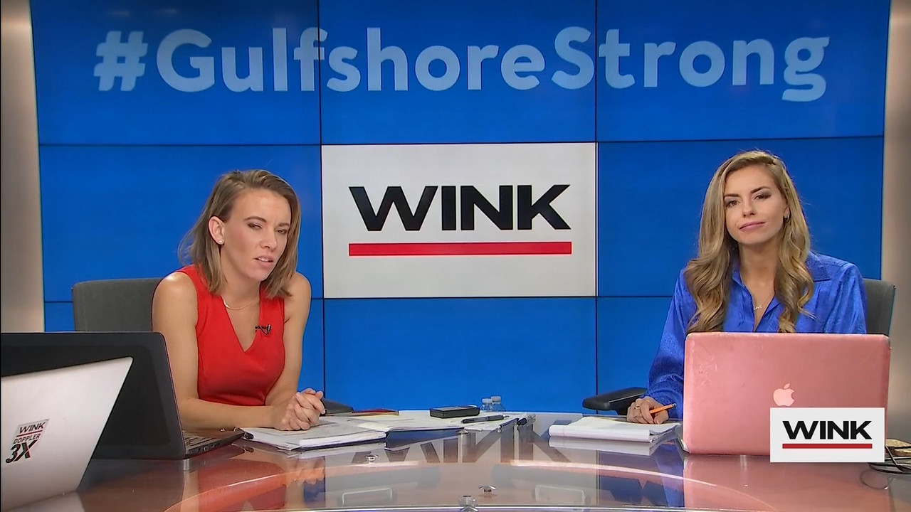 10.09 - 13.00.00 - WINK News at 8 00AM  ᴺᵉʷ..ts_snapshot_00.29.58.557