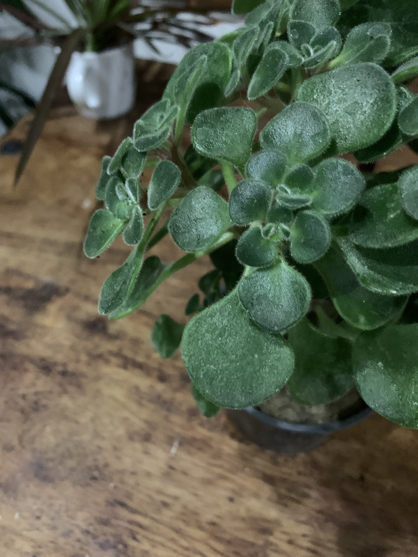 4FAD8BB5-DCB8-4C04-8C9B-FD8AD1AC1DDB