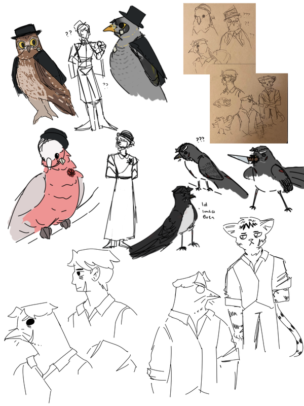 multiple drawings, some previously shown on the Raz-Bird image, and some of Olive, with a Galah drawn with some of their features. there are also some drawings of Tom with his bird options, and some physical coaster drawings of ideas