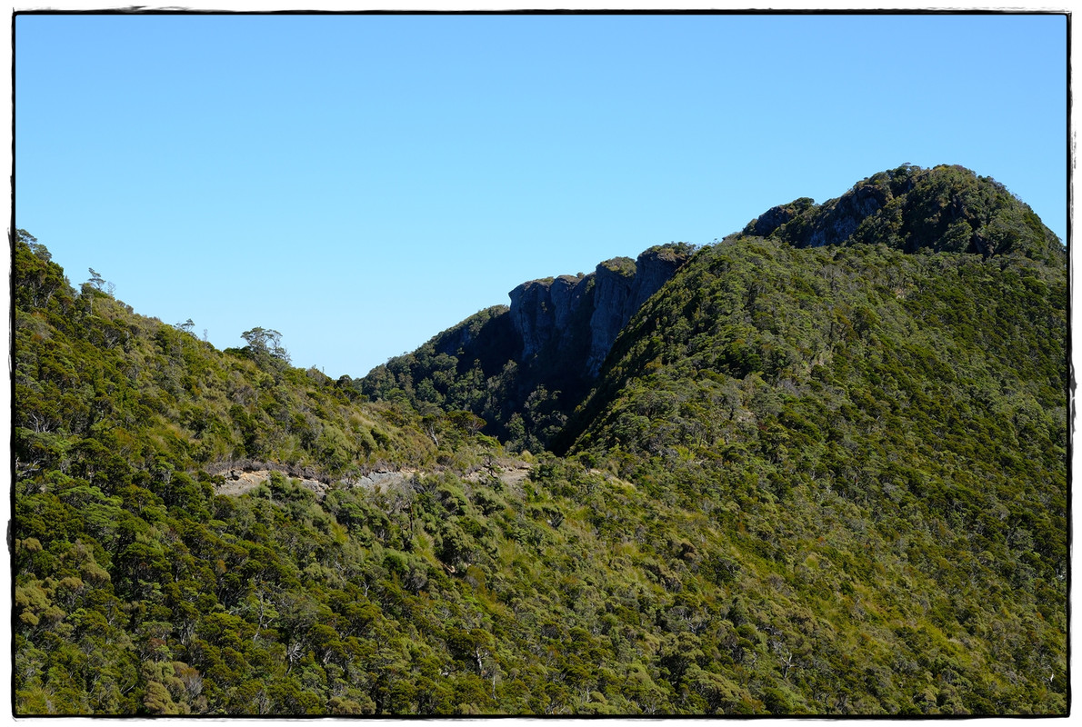 Paparoa NP: Paparoa Track (diciembre 2024) - Escapadas y rutas por la Nueva Zelanda menos conocida (27)