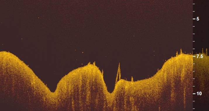 Карты 14446150_1203749219667985_9107033587400971539_n джиг спинн