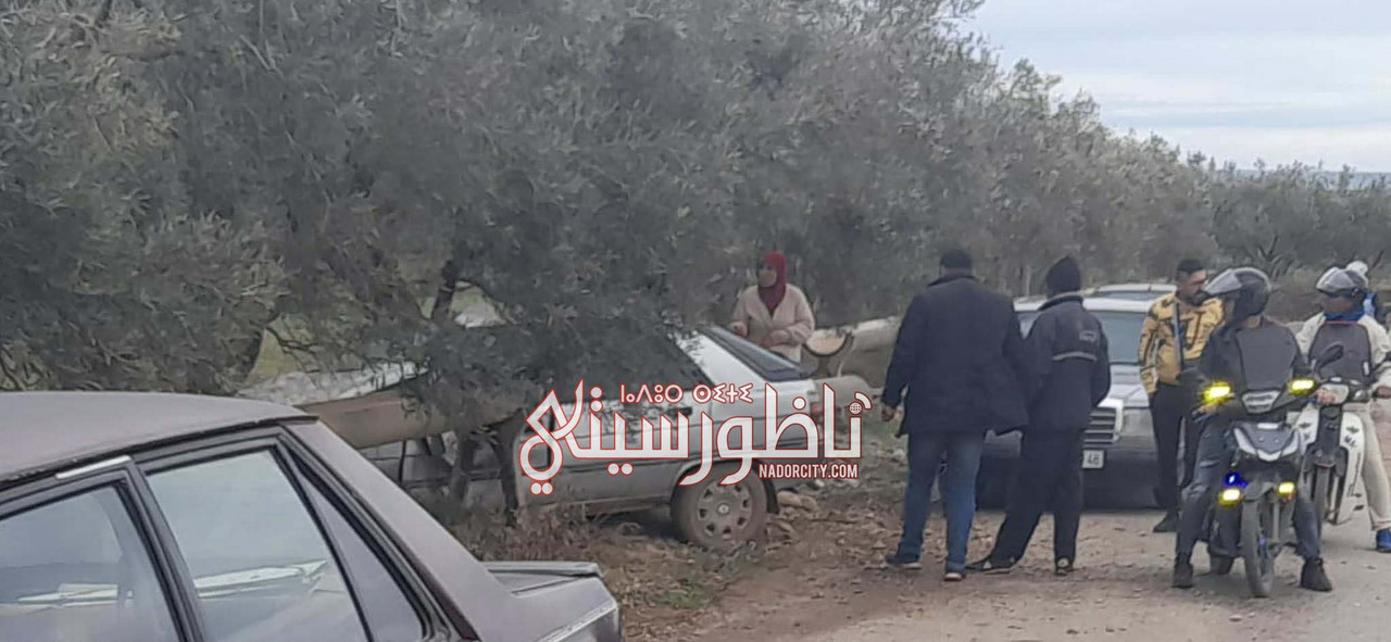 623752386-1289955446294780-1378724576095214459-n