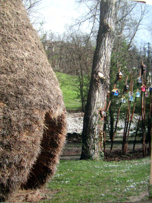 Тонино Гуэрра Уйти как прийти_page-0014