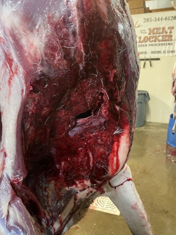 2C629961-3E03-4404-9E3B-B2C2A1B5A969