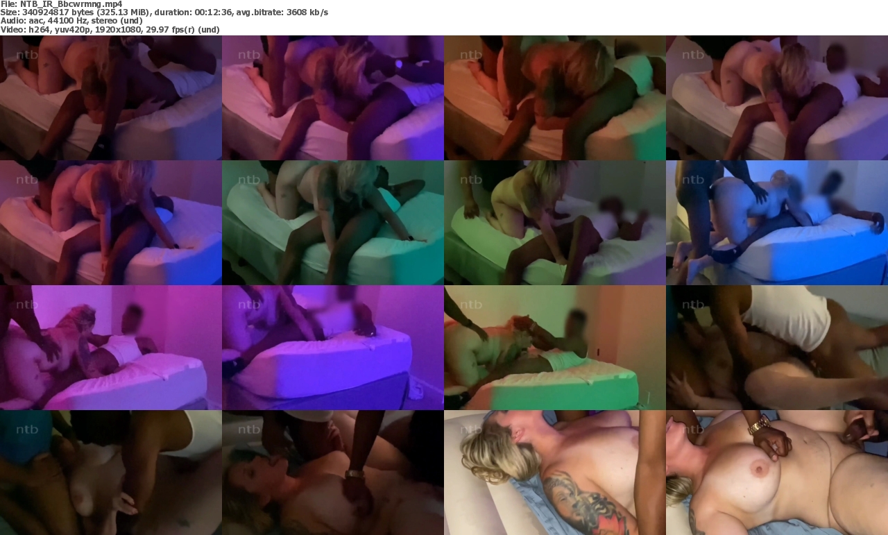 19042024123303screenshot