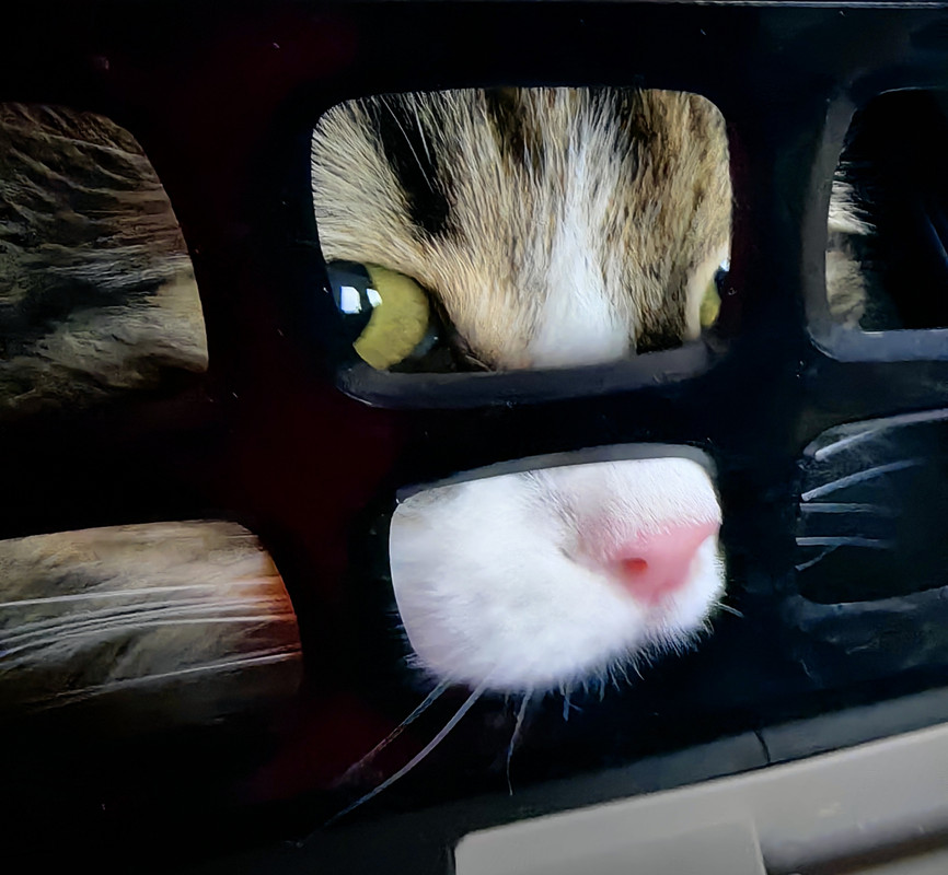 IMG_20241229_154830_edit_311913219869867