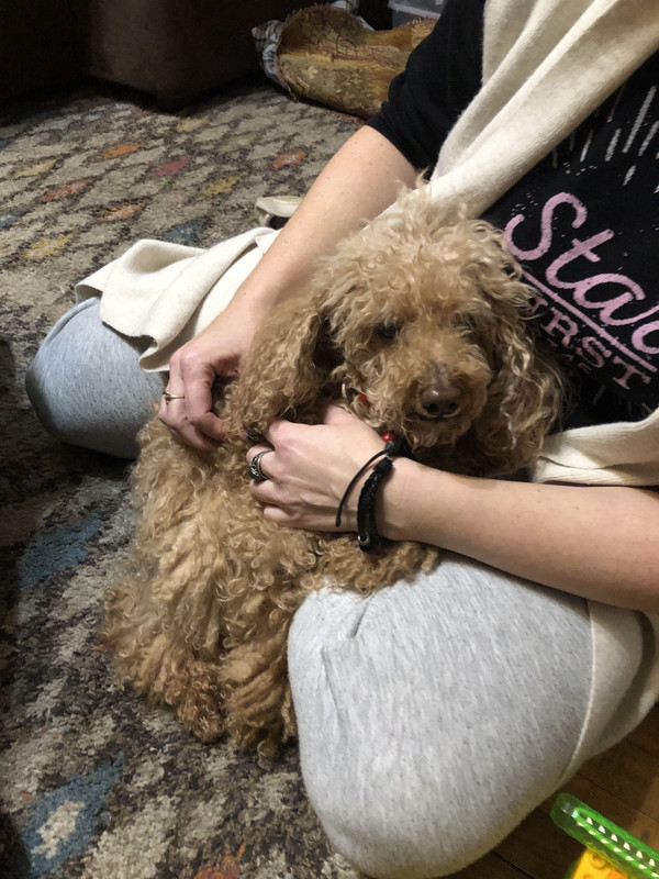 C52E5212-DF6B-4638-B56F-15D07637BECF