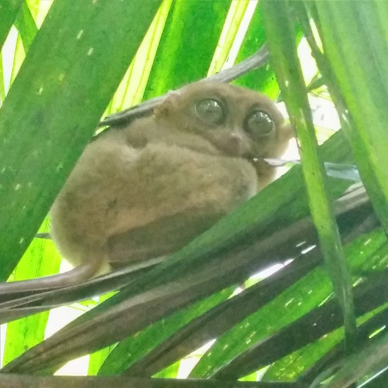 La mia vita. Римские записки, дневник онлайн