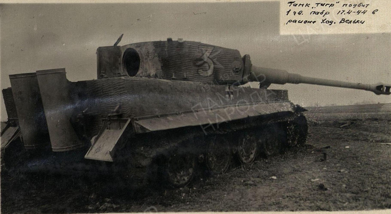 нем тигр 506тб ходачкув170444