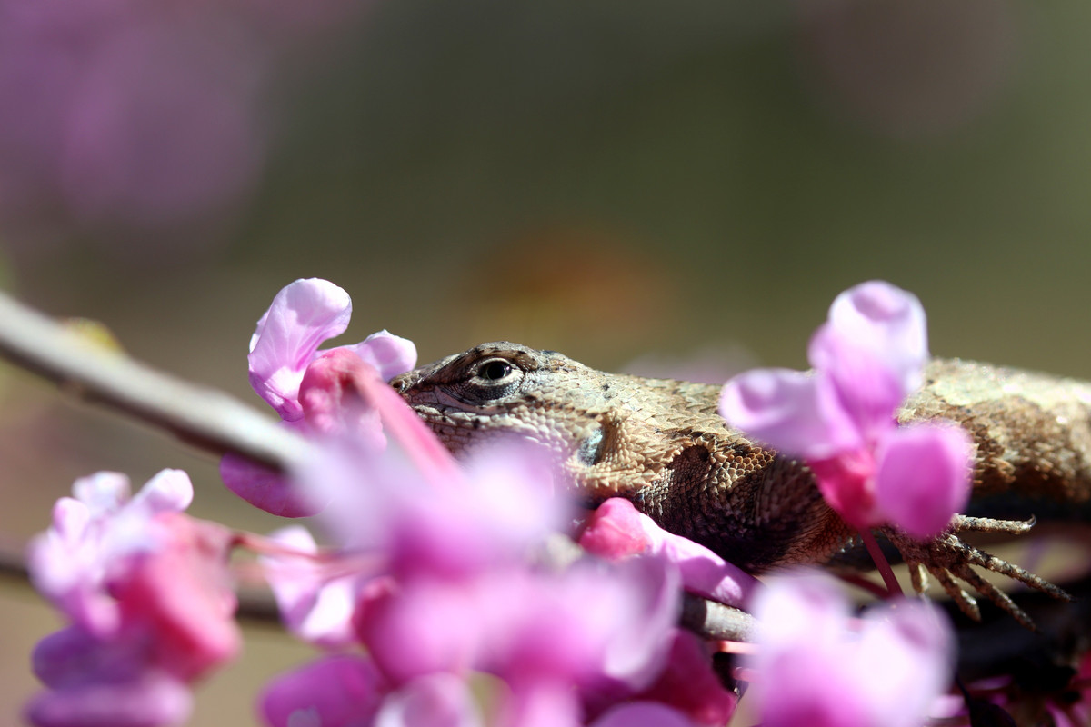 IMG-9146.jpg