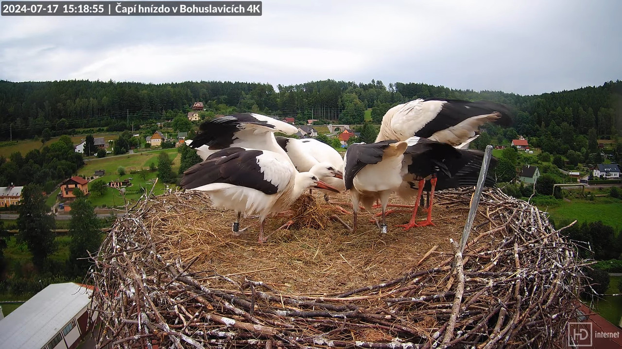 Tiešraidē no uzņēmuma KARA stārķa skursteņa Bohuslavicē pie Trutnovas 17-48-45 screenshot