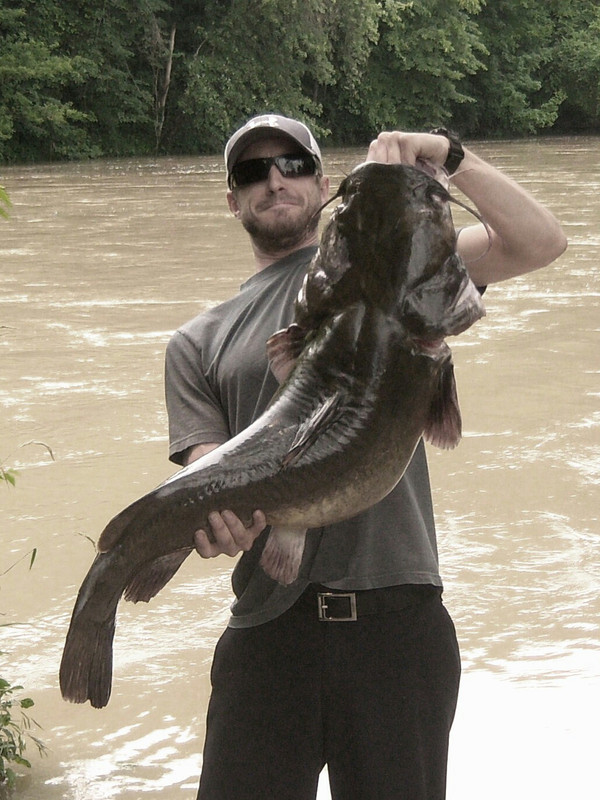 HAAS 45LB FLATHEAD
