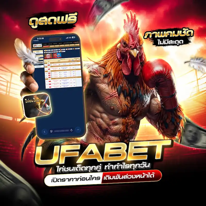 ดูไก่ชนสด HD