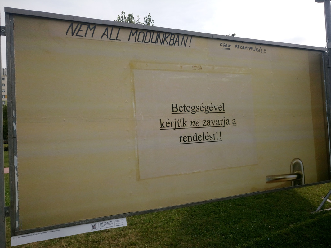 Kép